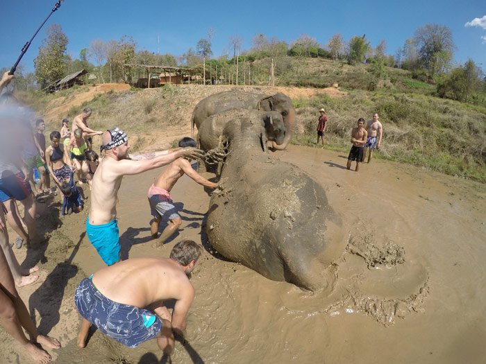 homem dando banho de lama no elefante