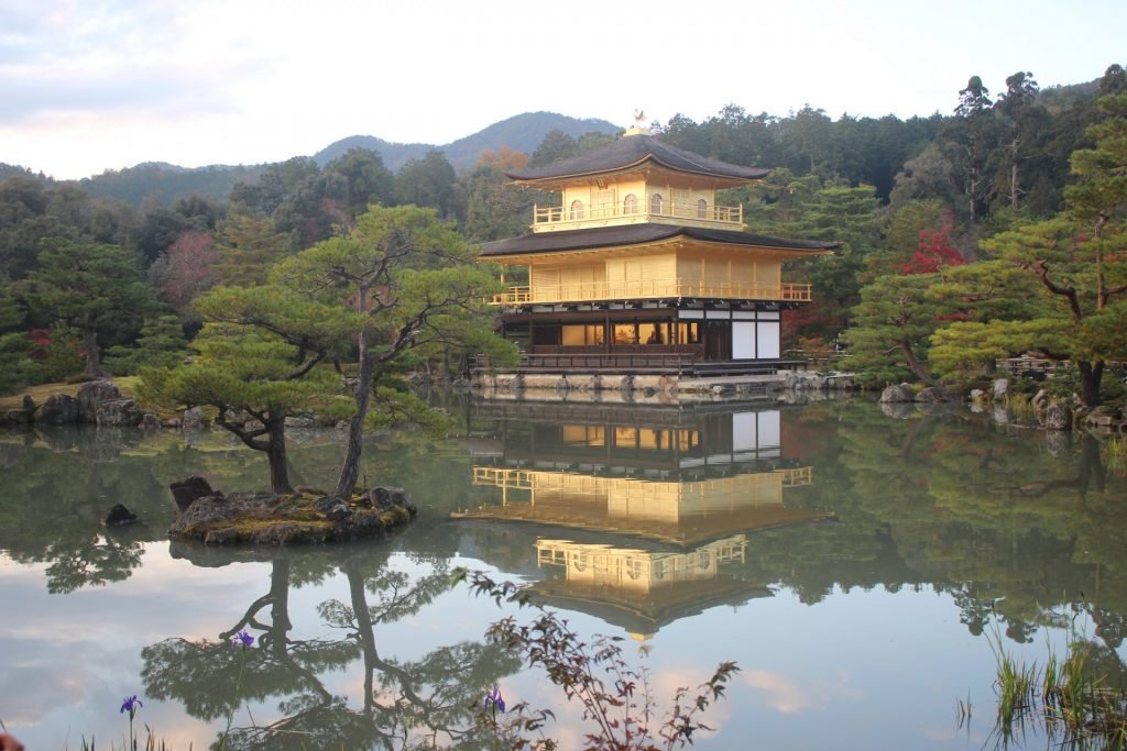 templo japonês na floresta