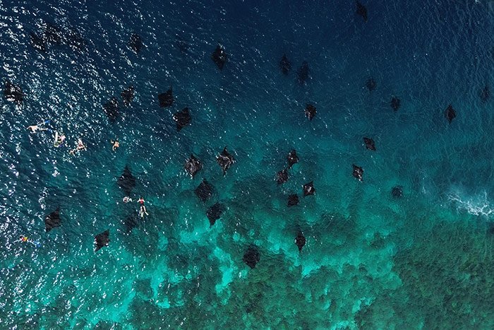 Manta point em Komodo