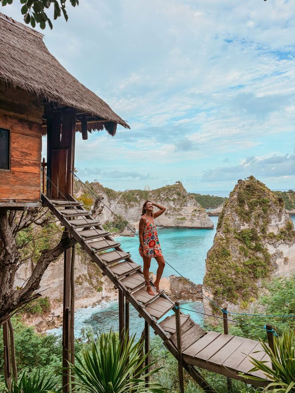 Nusa Penida House tree